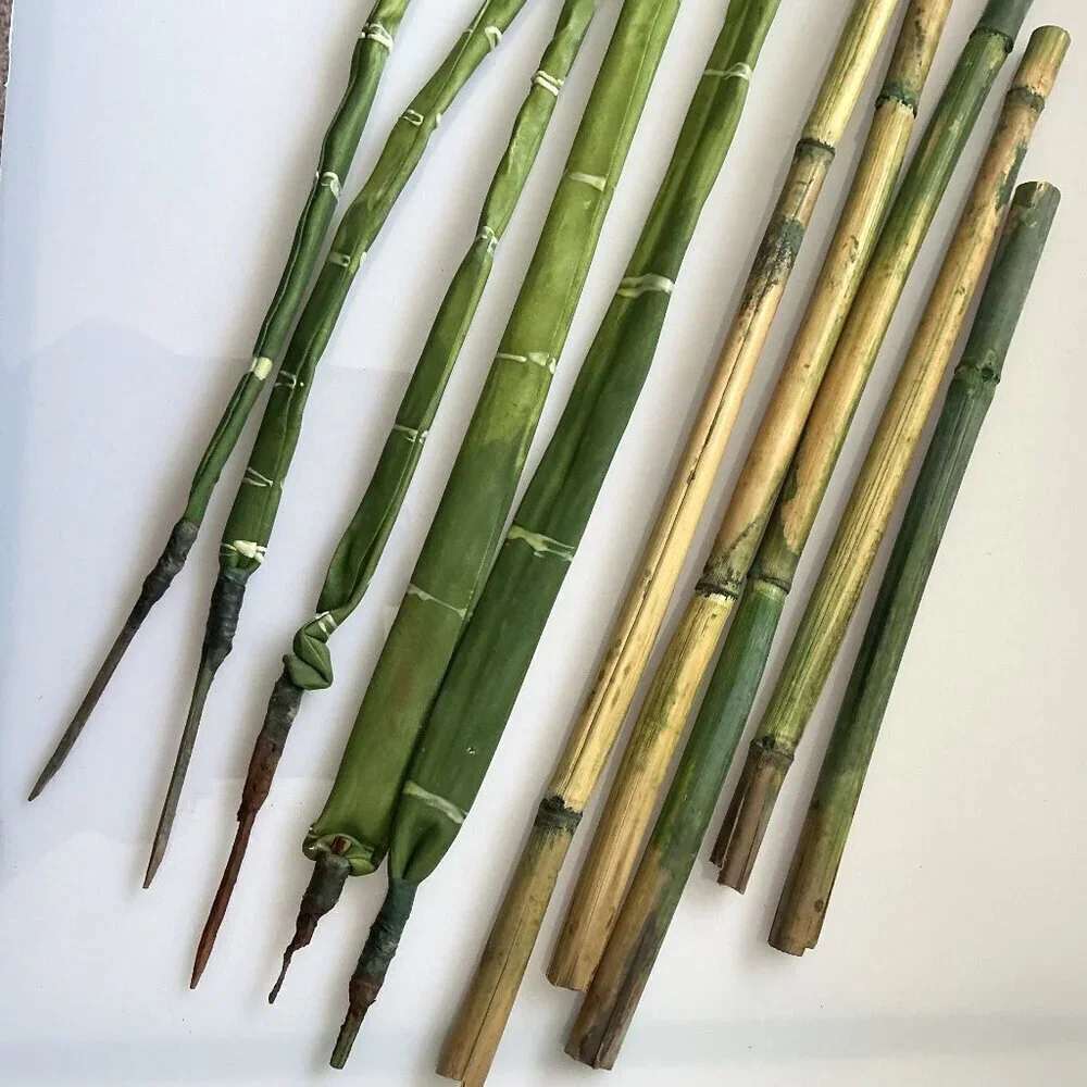 BAMBOO WITH DETACABLE POLES TALL CRAFT DIY BUNDLE ARTIFICAL (FLAWS)